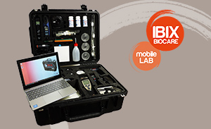 <strong>IBIX BIOCARE</strong> <br/>  Quality, professionalism and experience<br/> in the Restoration of the Cultural Heritage. 